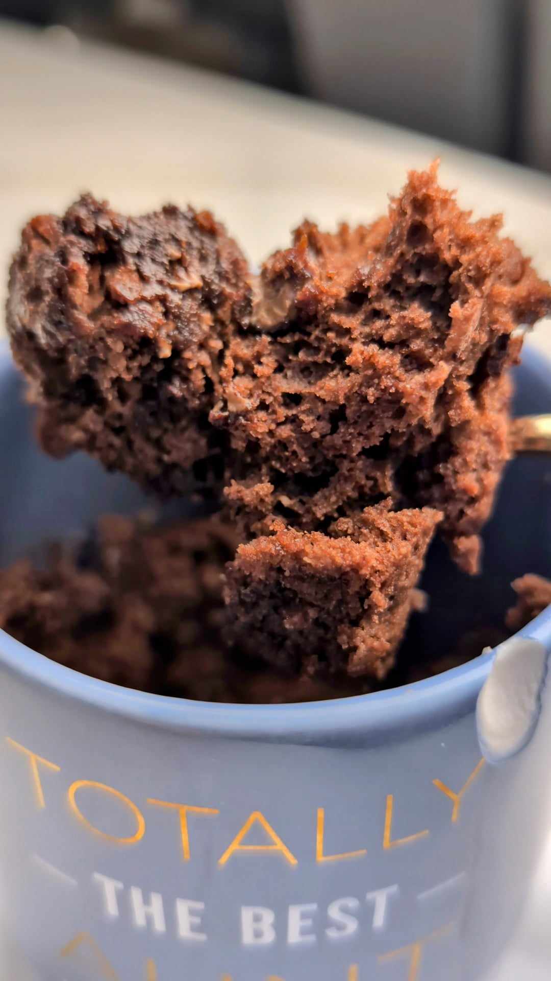 Single Serve Protein Mug Cake